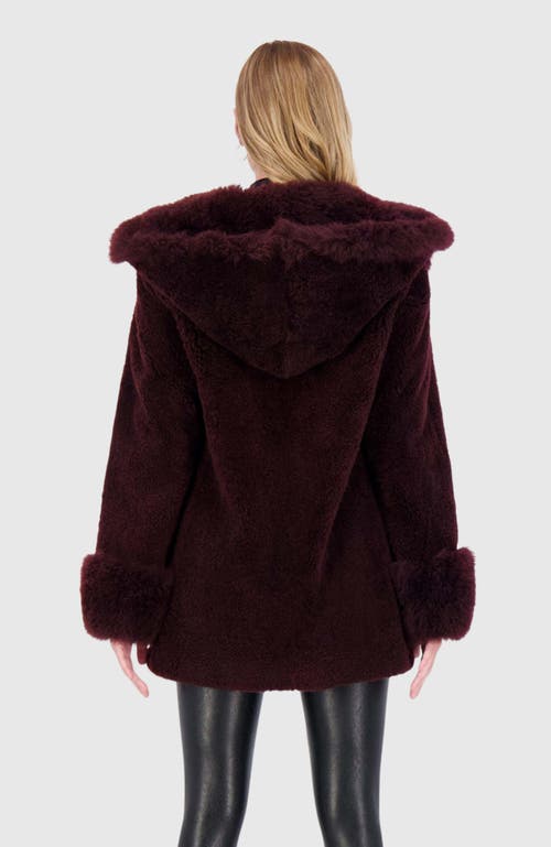Gorski Cashmere Goat Shearling Parka Jacket With Cashmere Goat Hood Trim And Cuffs In Burgundy