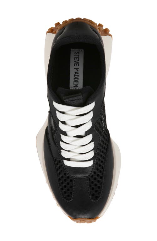 Steve Madden Campo Sneaker In Black Mesh