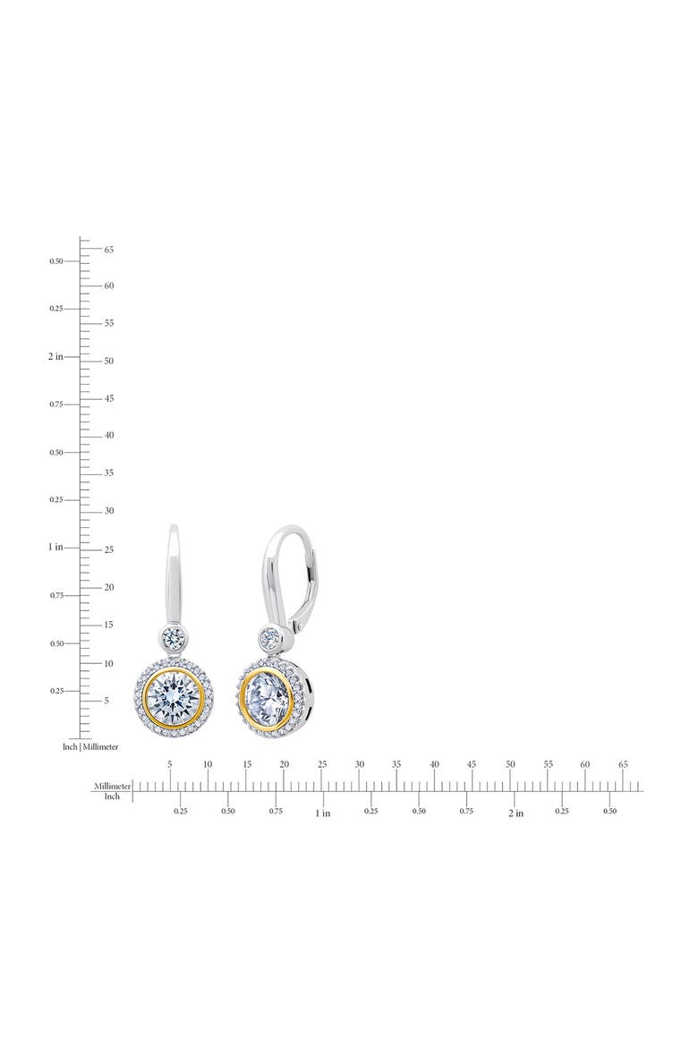 2-Tone Halo Leverback Earrings, Alternate, color, PURE PLATINUM/ CLEAR STONE