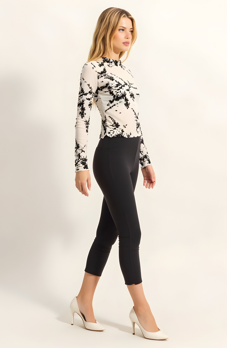 Modenaire Sheer Mesh Floral Long Sleeve Top, Alternate, color, 