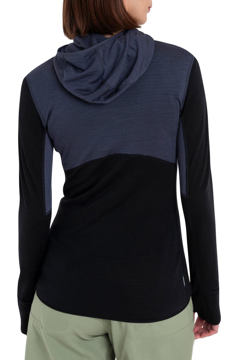 Icebreaker Tencel & Merino 200 Realfleece Descender Zip Hoodie, Alternate, color, 