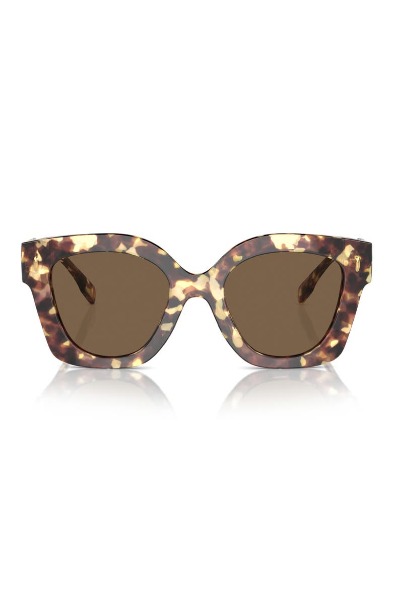 49mm Irregular Cat Eye Sunglasses, Main, color, DARK BROWN