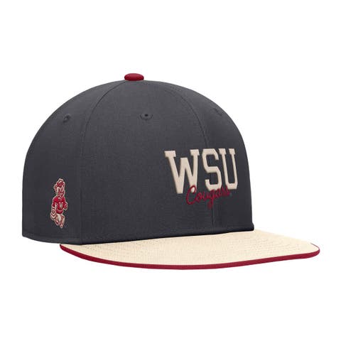 Men's Nike Anthracite Washington State Cougars Vintage Script Pro Dri-FIT Snapback Hat