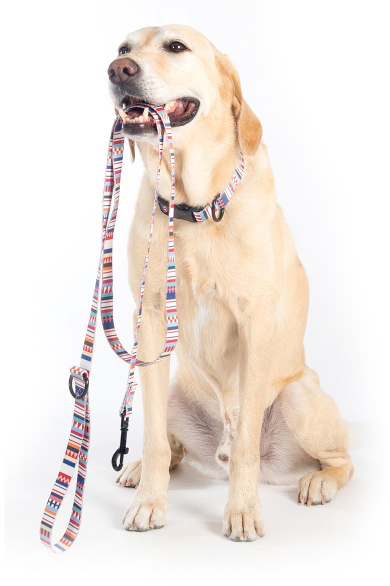 Adventure Leash, Alternate, color, TAMIAMI