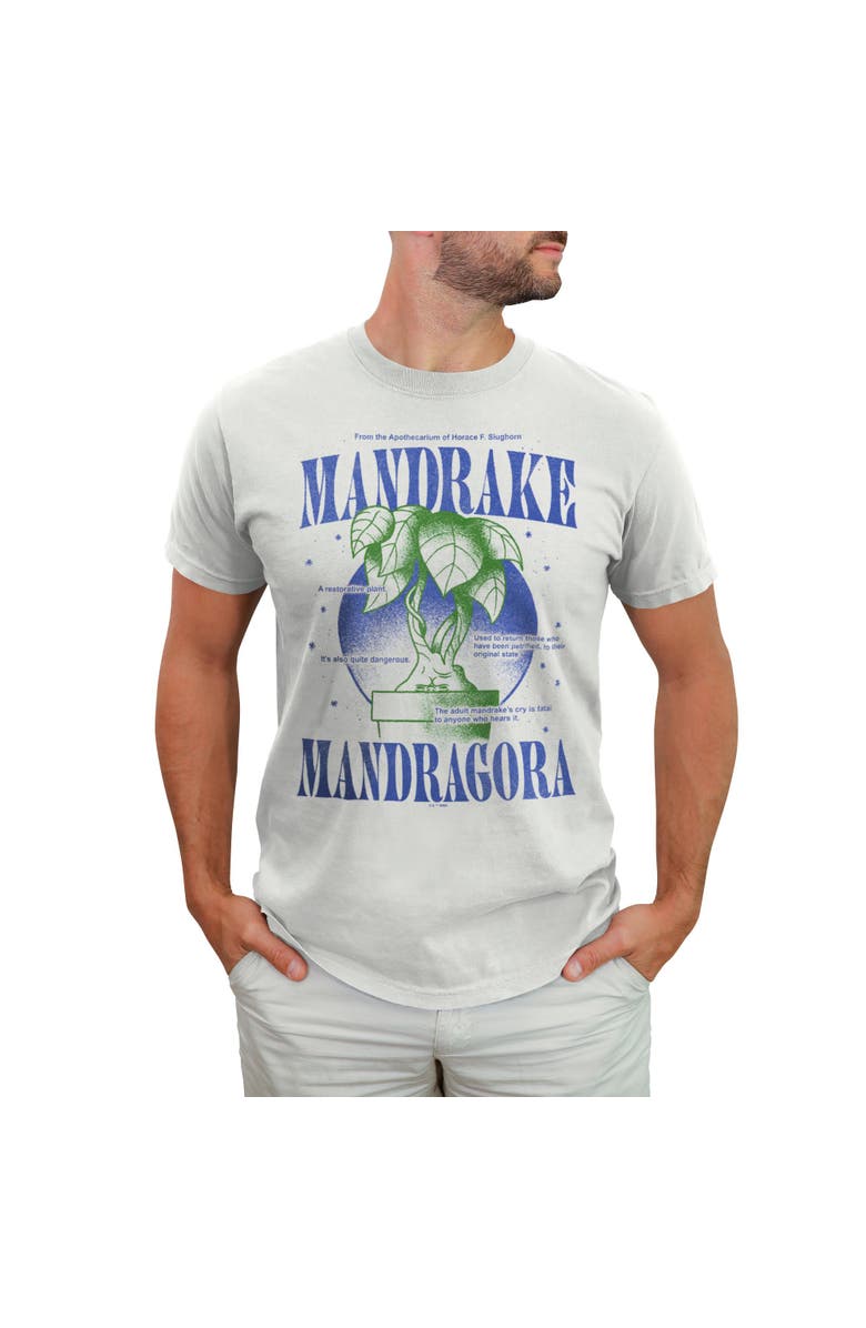 HARRY POTTER Men's Harry Potter Mandrake Mandragora Graphic T-Shirt, Main, color, White