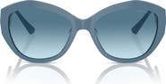 Jimmy Choo 55mm Butterfly Sunglasses