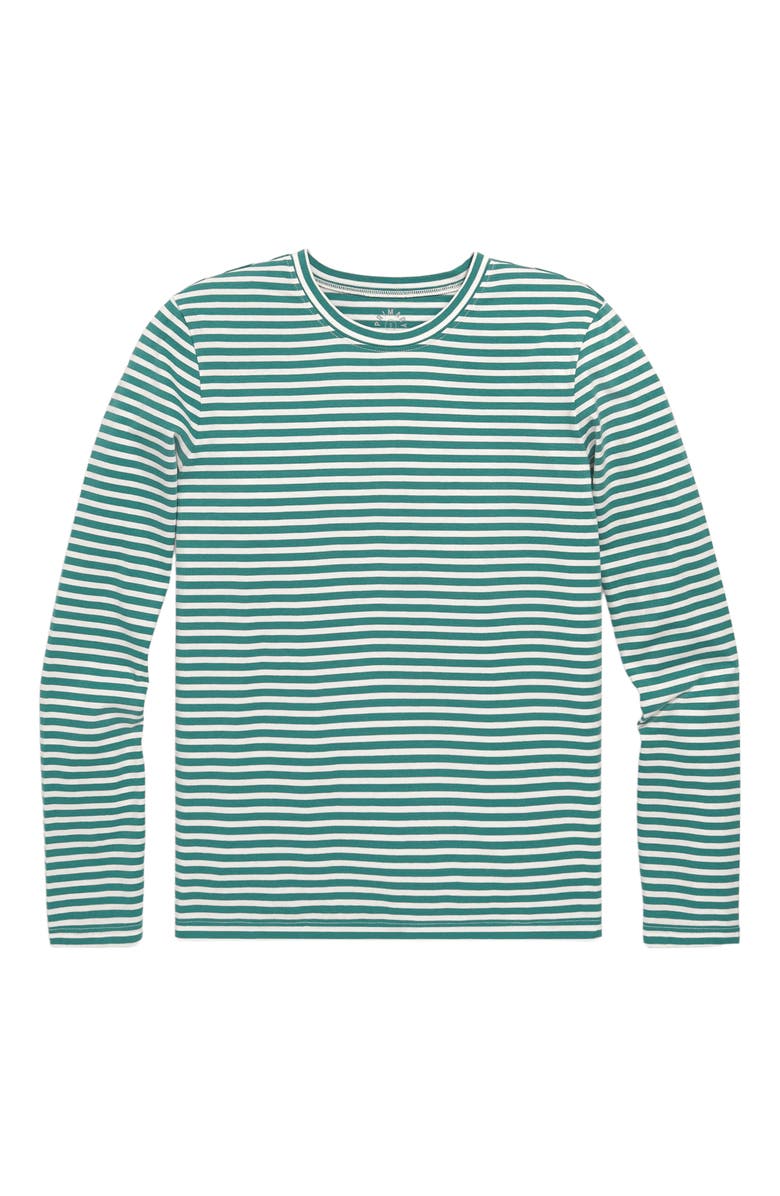 Primary Adult Long Sleeve Everyday Stripe Tee, Main, color, Ivory Sunwashed Teal Stripe