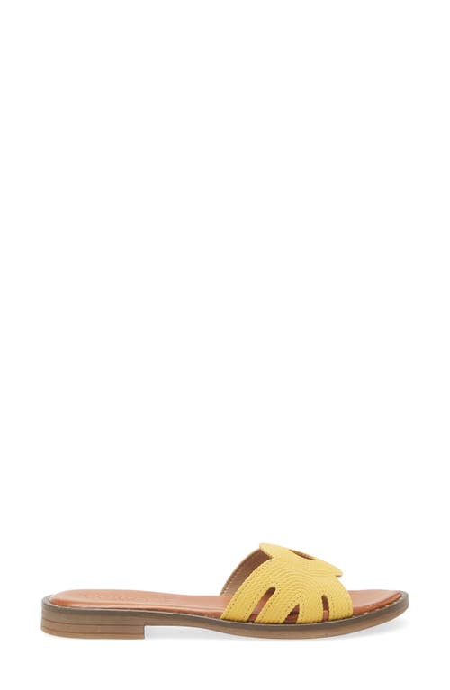 Cordani Slide Sandal Fiorella In Goldenrod