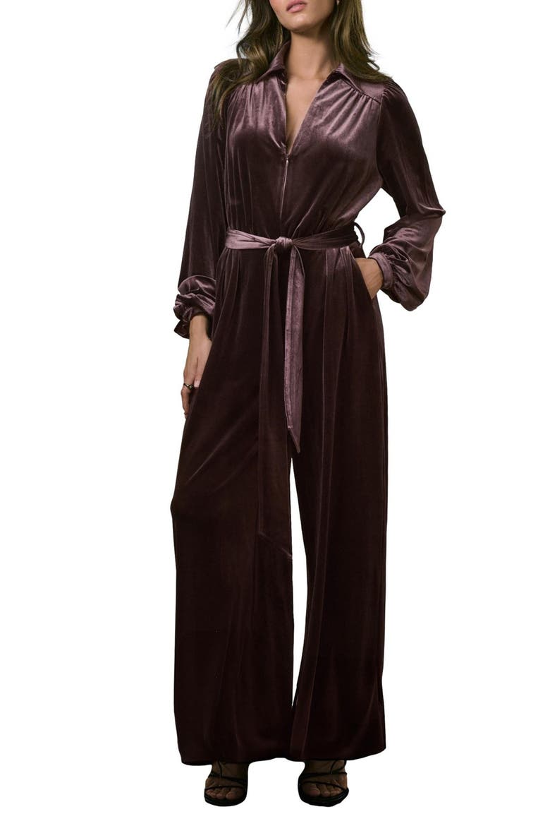 Long Sleeve Velvet Jumpsuit, Main, color, BROWN