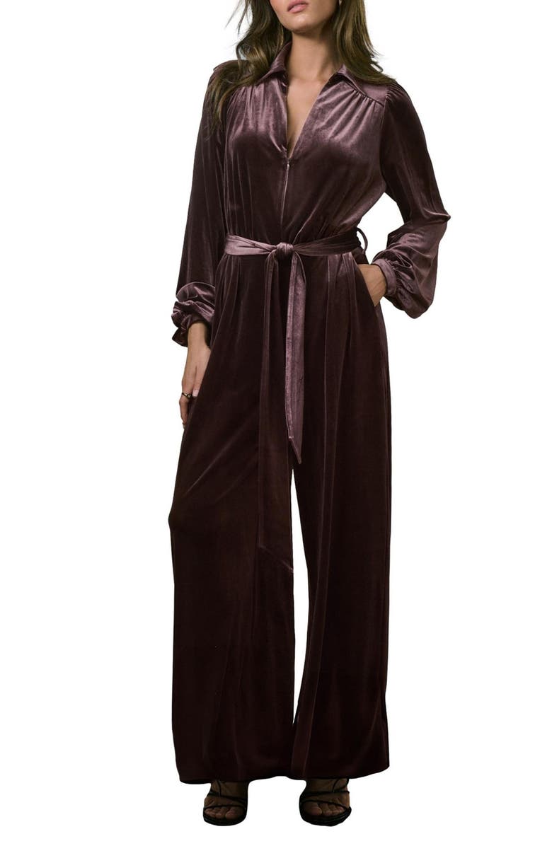 NEXT Long Sleeve Velvet Jumpsuit, Main, color, Brown