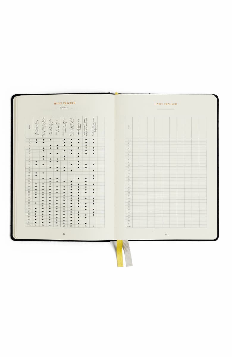 INTELLIGENT CHANGE Productivity Planner, Alternate, color, 