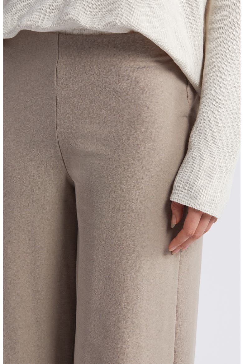 Wide Leg Ankle Pants, Alternate, color, BRIAR