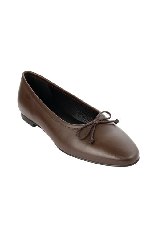 Menina Step Amelie Leather Ballet Flat In Brown