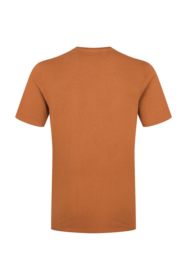 Stance Lo T-Shirt - Men's, Alternate, color, Red Earth