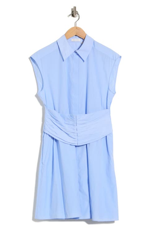 Sleeveless Taffeta Dress