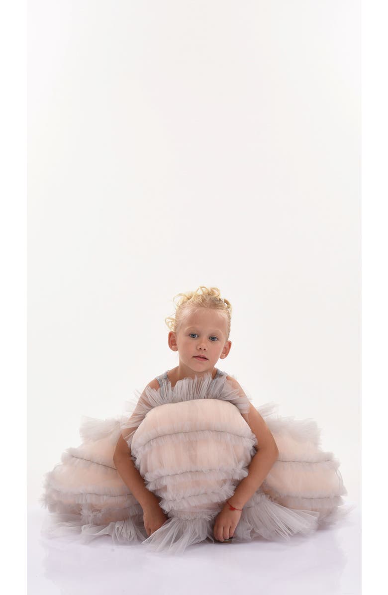 Tulleen Marianna Embroidered Dress, Alternate, color, Pink