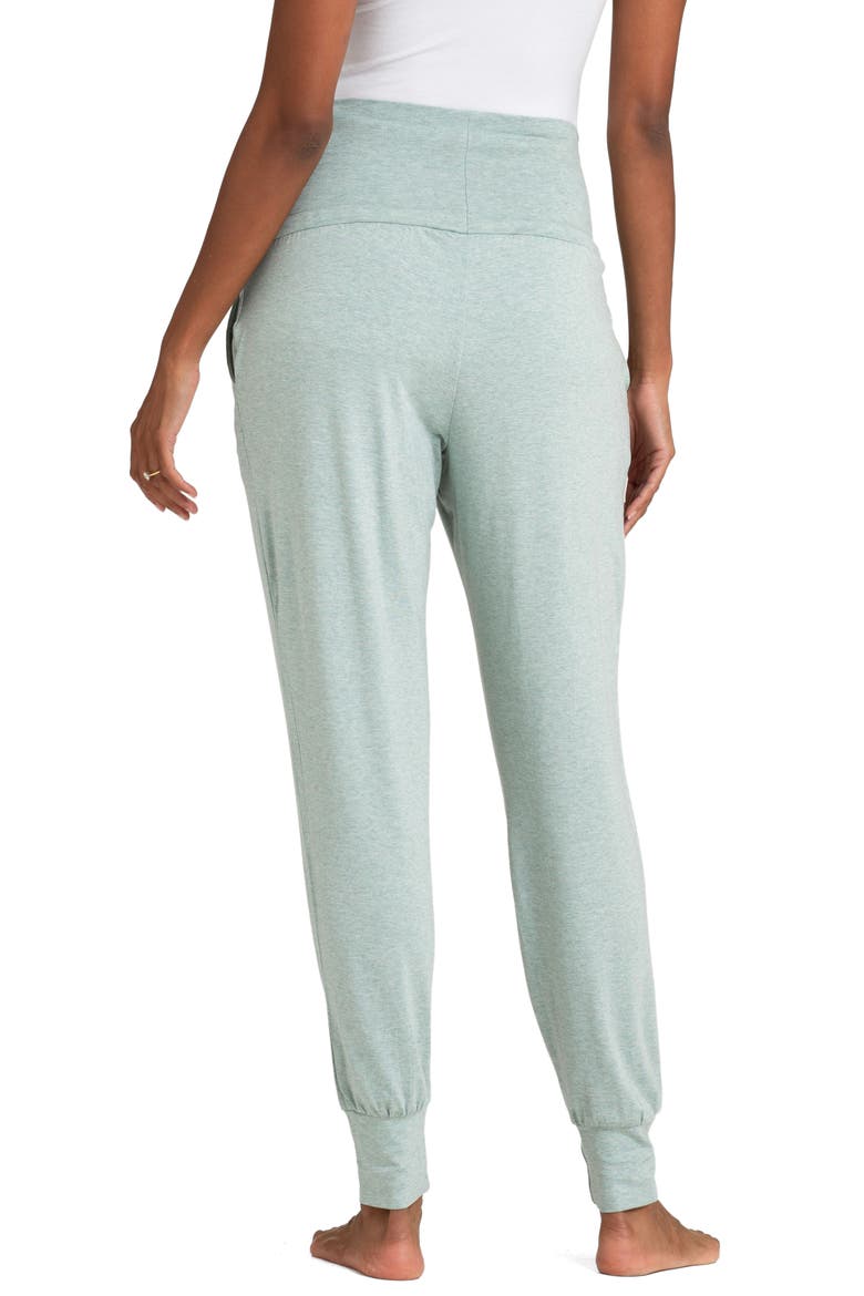 Assorted 2-Pack Maternity Joggers, Alternate, color, NAVY & SAGE