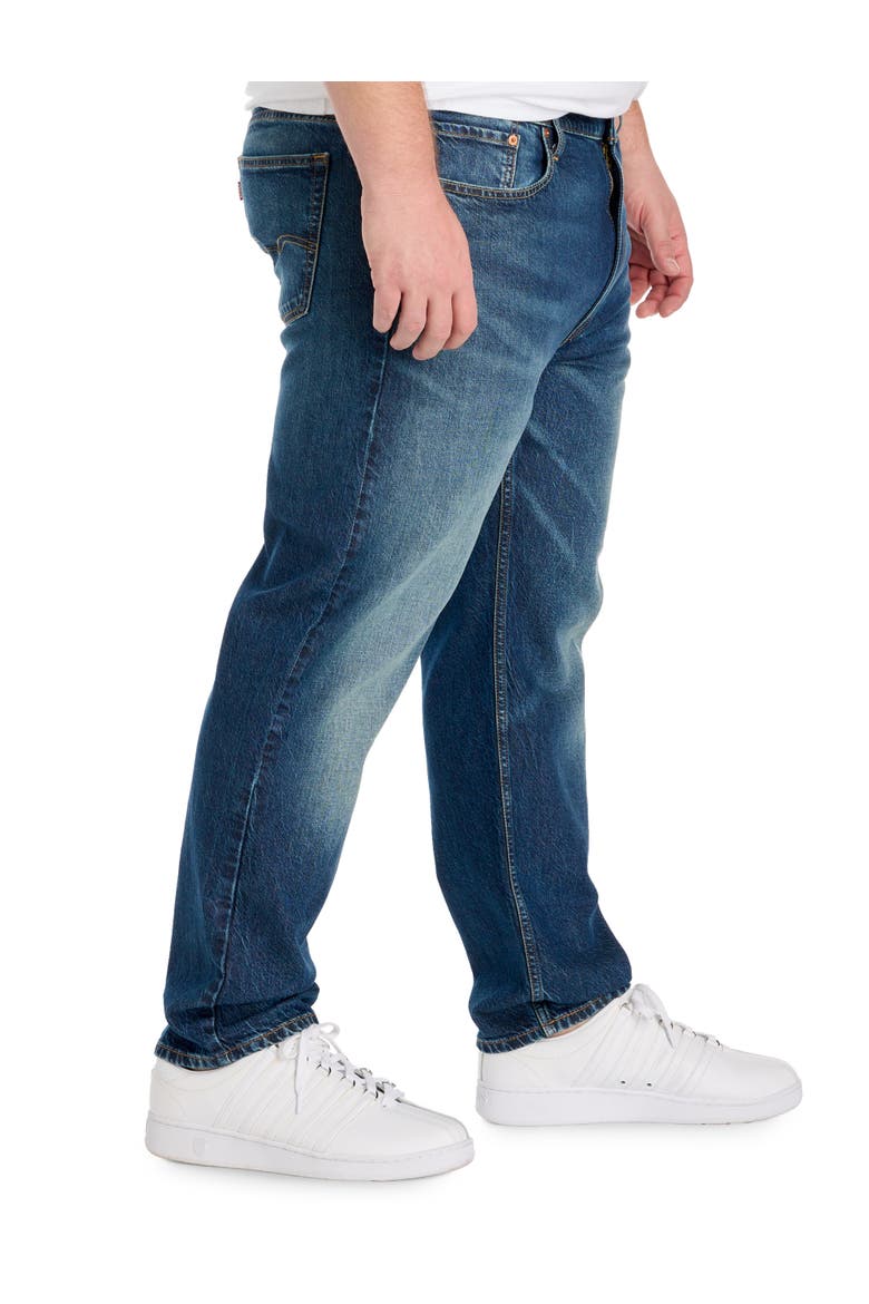 Big & Tall  502 Tapered-Fit Jeans, Alternate, color, BLUE EXPANSE