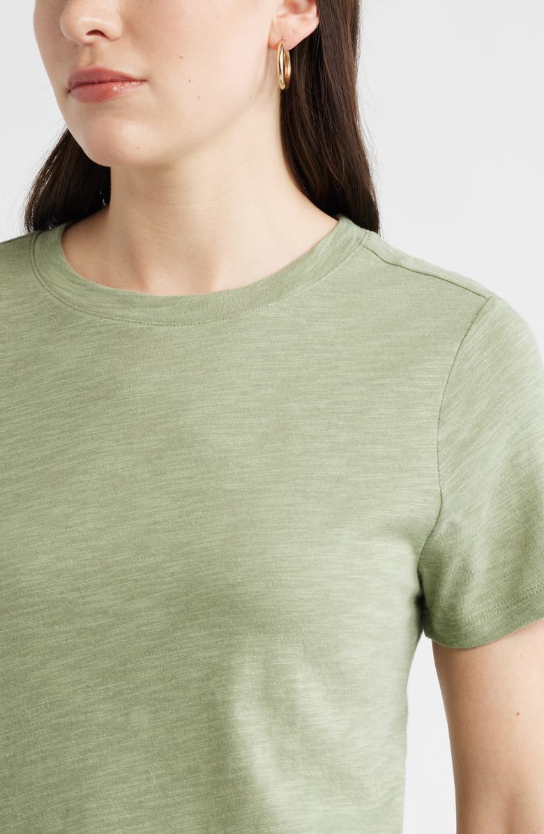 Caslon<sup>®</sup> Cotton Blend Crewneck T-Shirt, Alternate, color, Olive Acorn