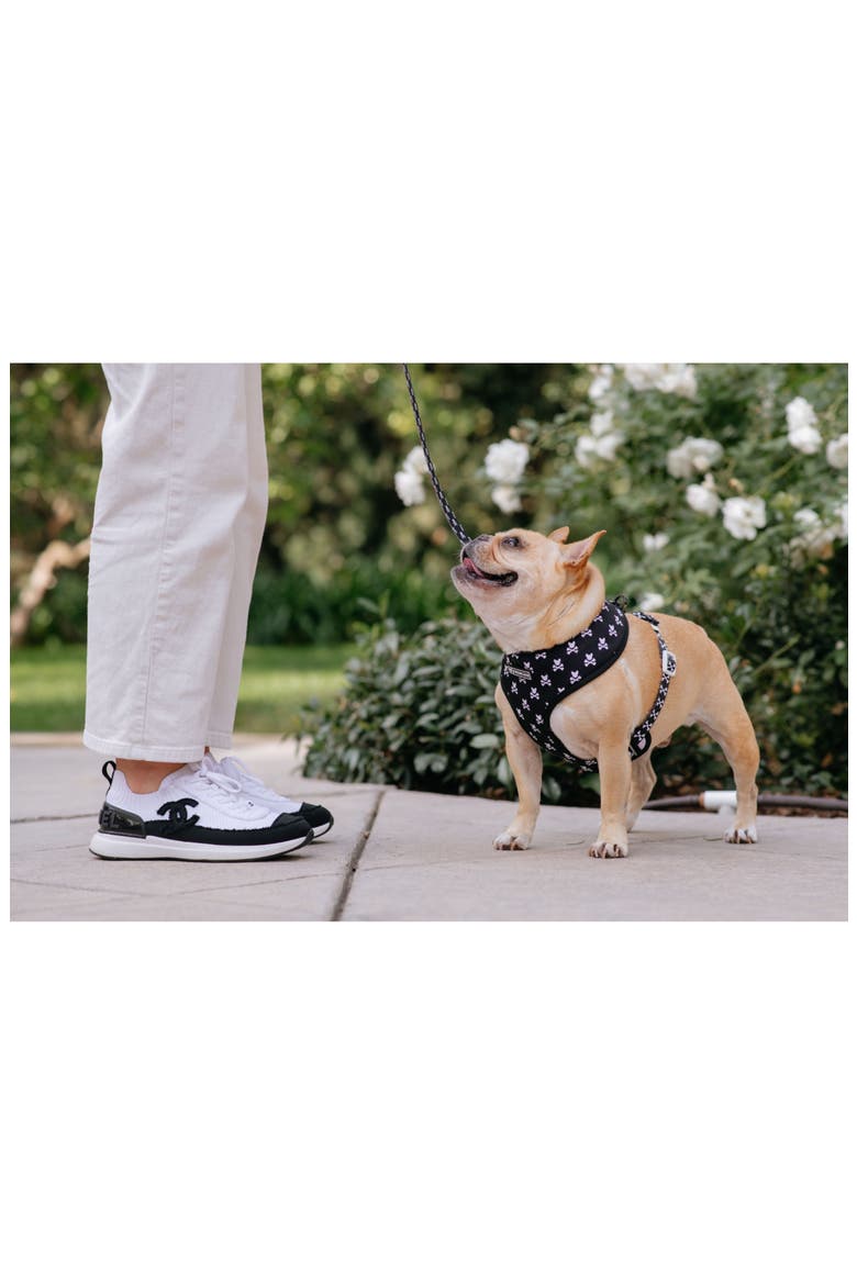 Duo Reversible Harness, Alternate, color, Bad to the Bone