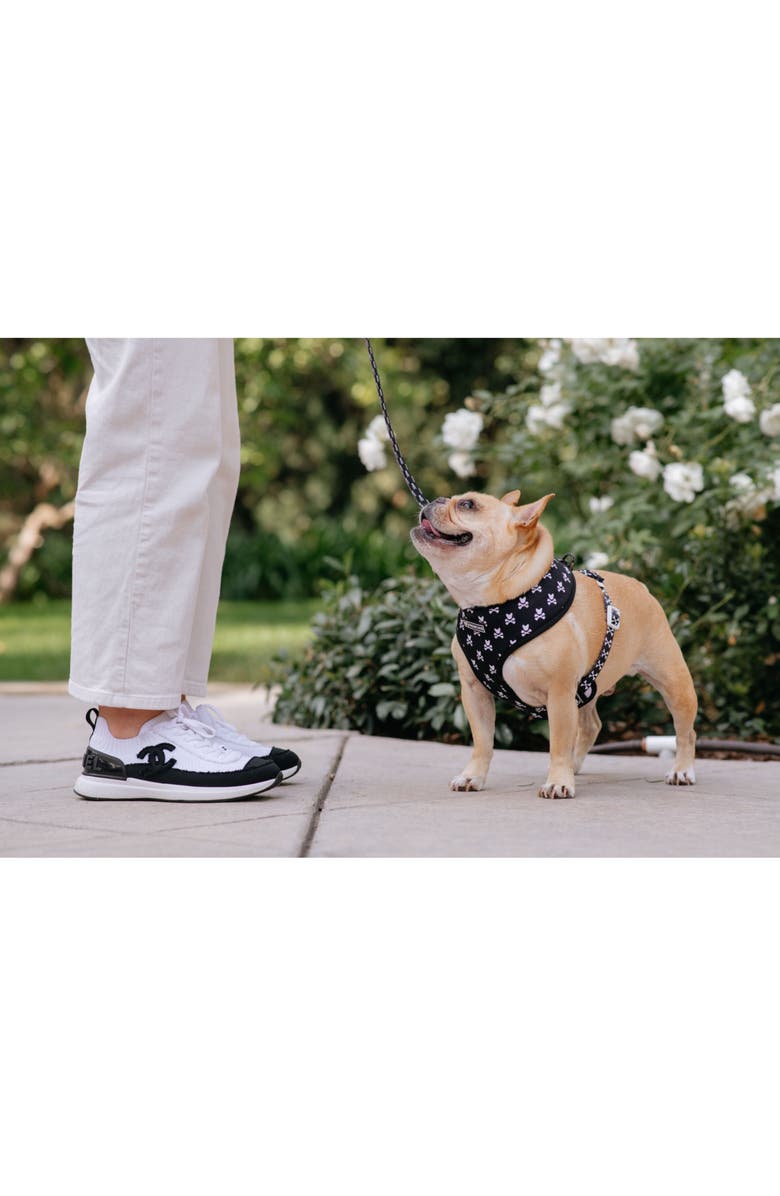 Frenchie Duo Reversible Harness, Alternate, color,