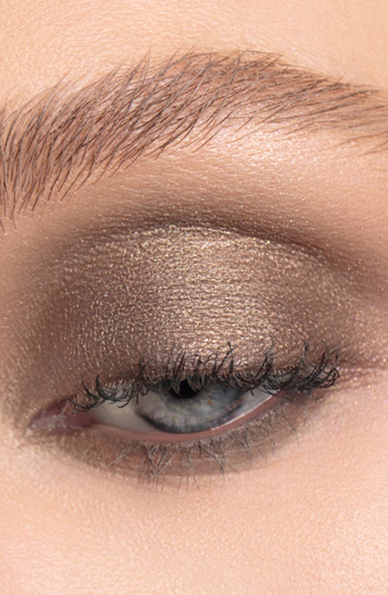 Chantecaille Luminescent Eye Shades, Alternate, color, Elephant