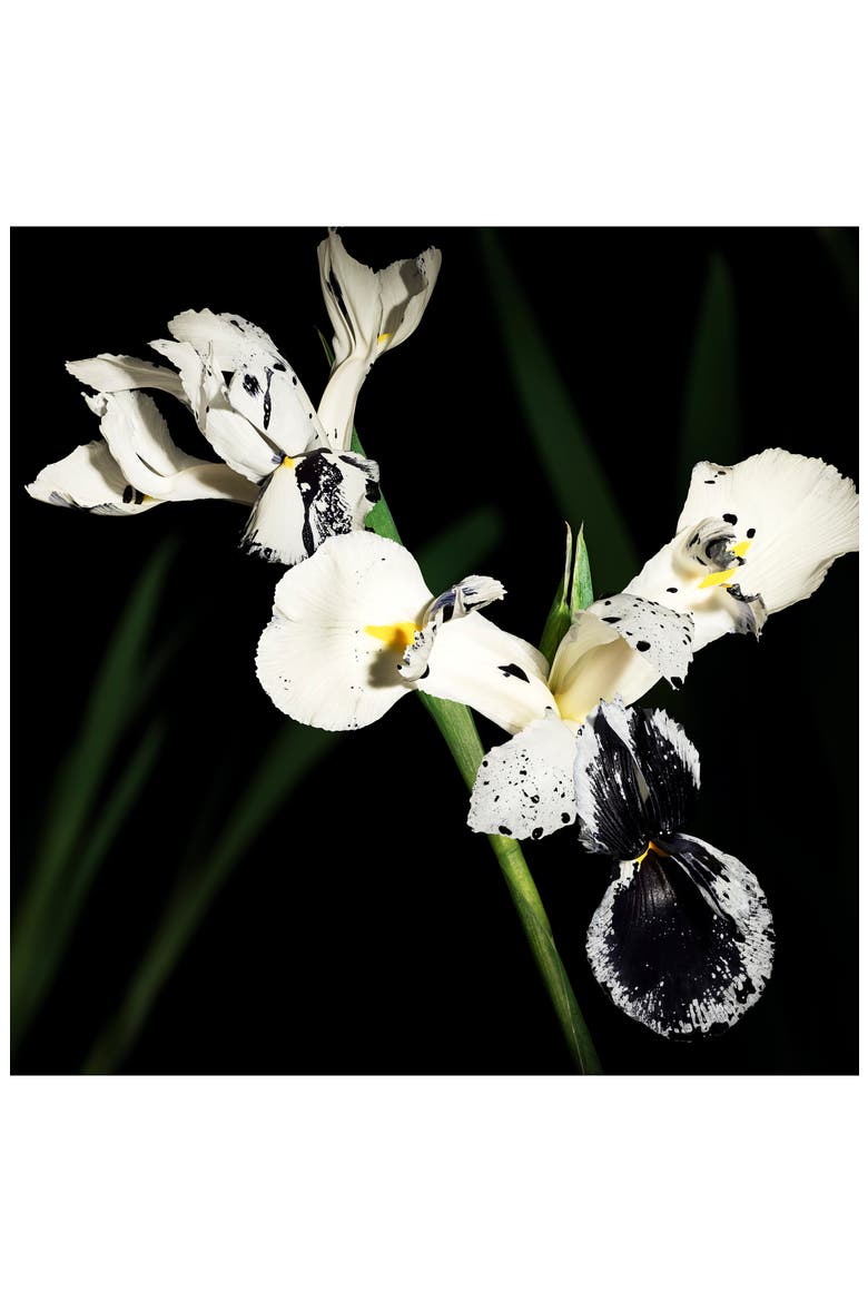Muse - Le Vestiaire des Parfums, Alternate, color, NO COLOR