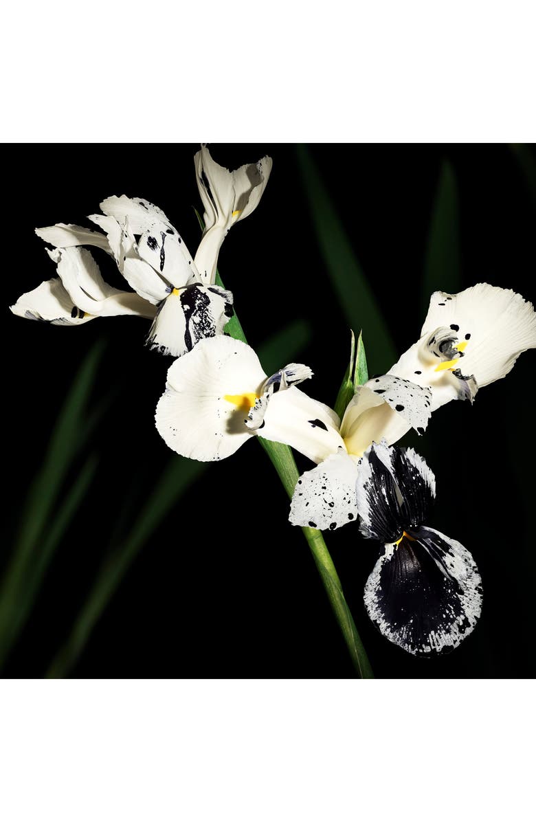 Yves Saint Laurent Muse - Le Vestiaire des Parfums, Alternate, color,