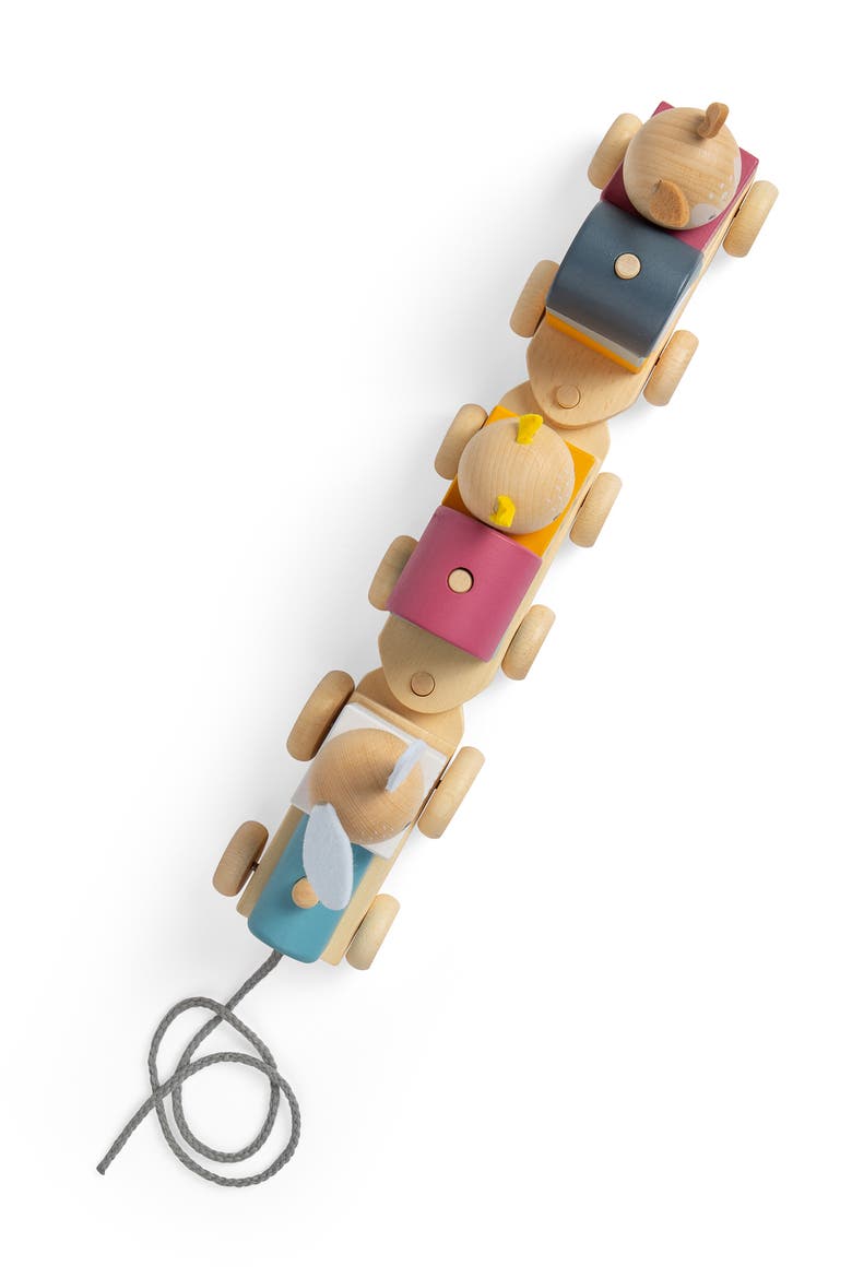 FSC® Certified Activity Pull Along Train, Alternate, color, Multicoloured