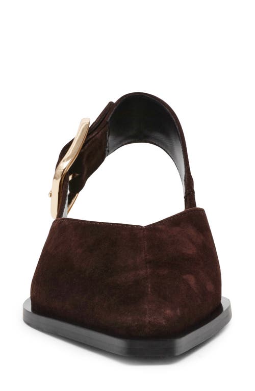 Steve Madden Shay Pointed Toe Slingback Flat In Burgundy