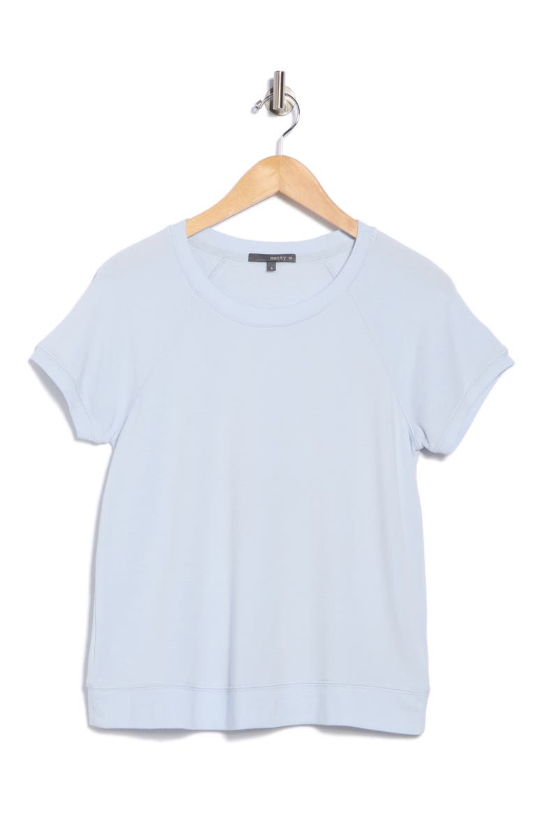 Raglan Sleeve Fleece T-Shirt, Alternate, color, ICE BLUE