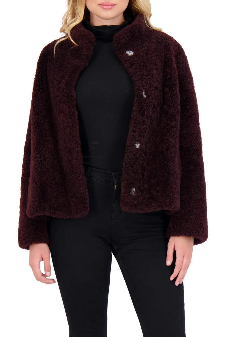 Sheared Genuine Shearling Jacket, Main, color, DARK BURGUNDY