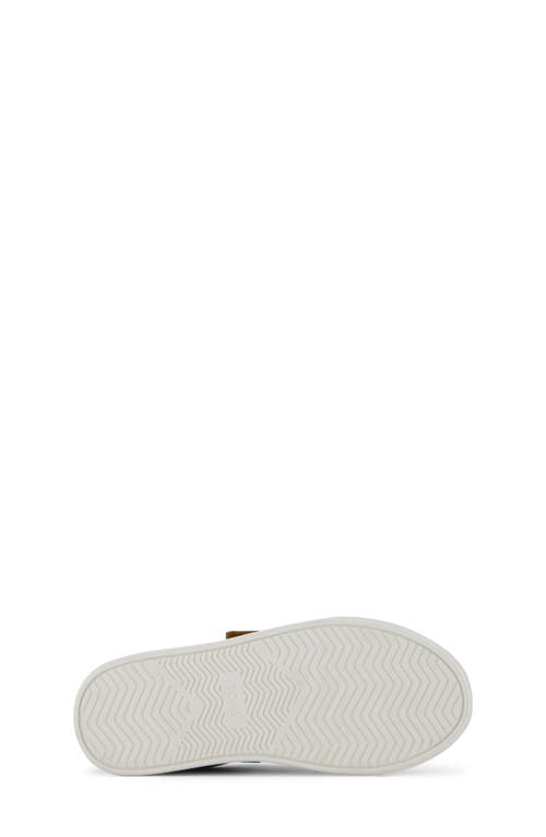 Toms Kids' Cruz Sneaker In Brown
