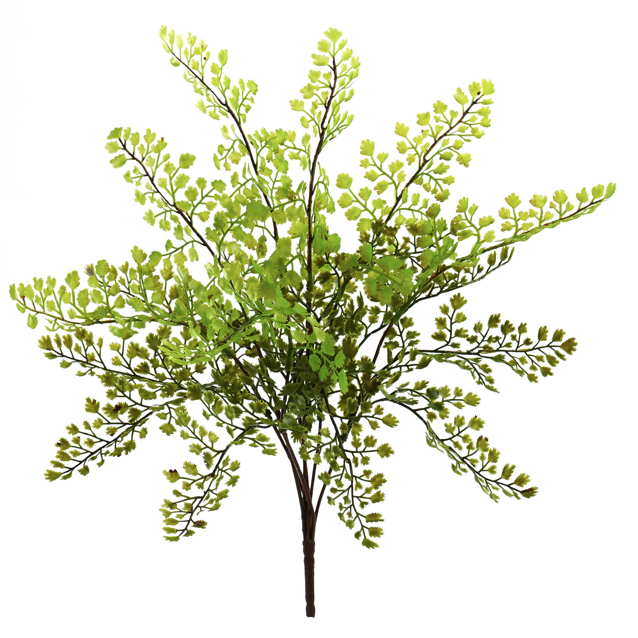 selected Green