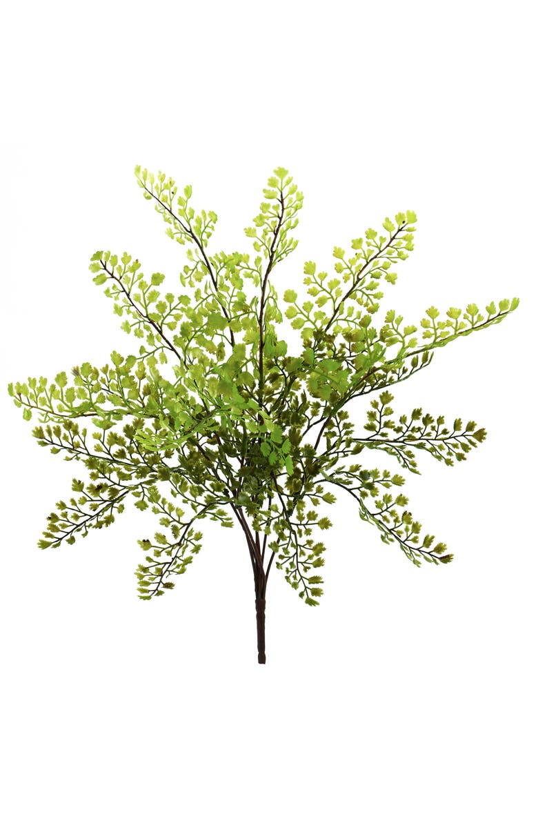 NEARLY NATURAL 15-in Maiden Hair Artificial Plant, Main, color, Green