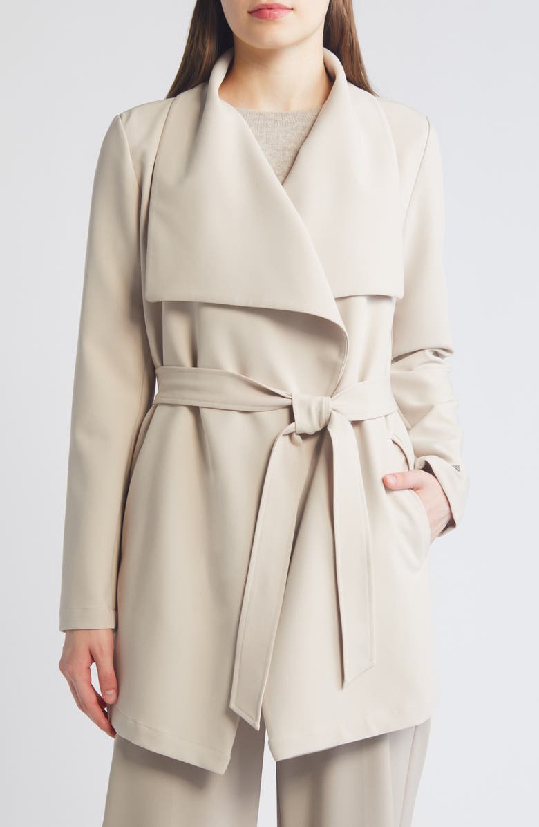 Soia & Kyo Alondra Asymmetric Jacket, Main, color, Mist