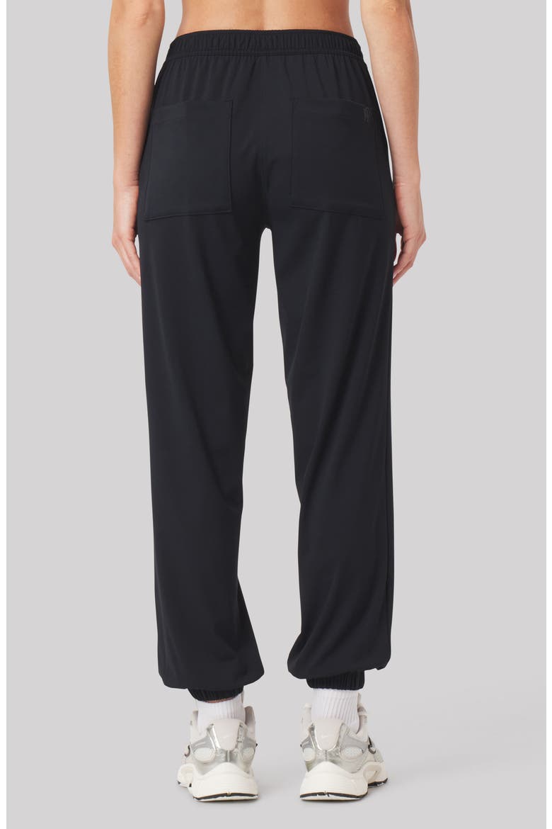 Poppy Performance Joggers, Alternate, color, BLACK