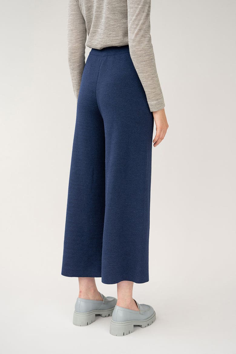 Wide Leg Trousers, Alternate, color, NAVY