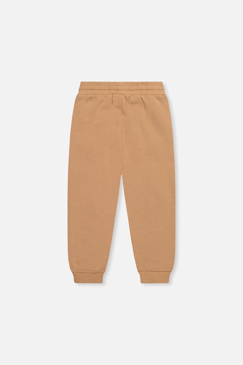 Fleece Drawstring Waist Zippered Pocket Sweatpants, Alternate, color, Brown Tannin