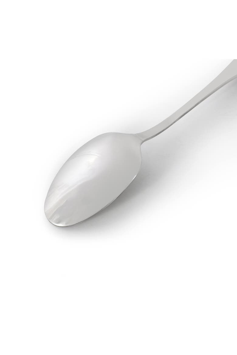 Manchester 4 Piece Stainless Steel Dinner Spoon Set, Alternate, color, Silver