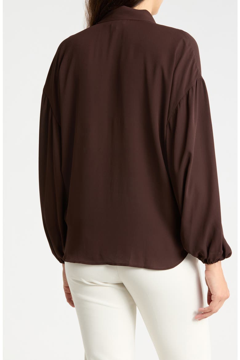 Tie Neck Draped Blouse, Alternate, color, DARK CHOCOLATE