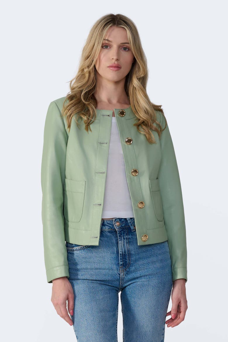 Margot Leather Jacket, Alternate, color, Light Green