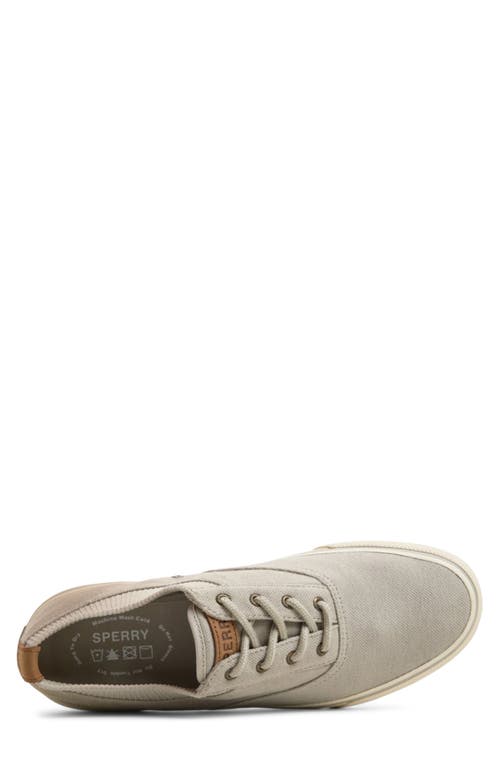 Sperry Top-sider® Sperry Striper Ii Cvo Sneaker In Grey