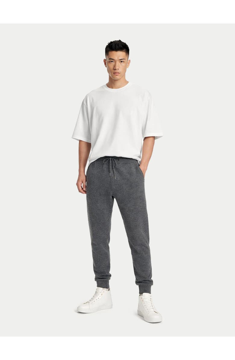GOBI Mongolian Cashmere Men's Cashmere Jogger, Alternate, color, Plum Kitten