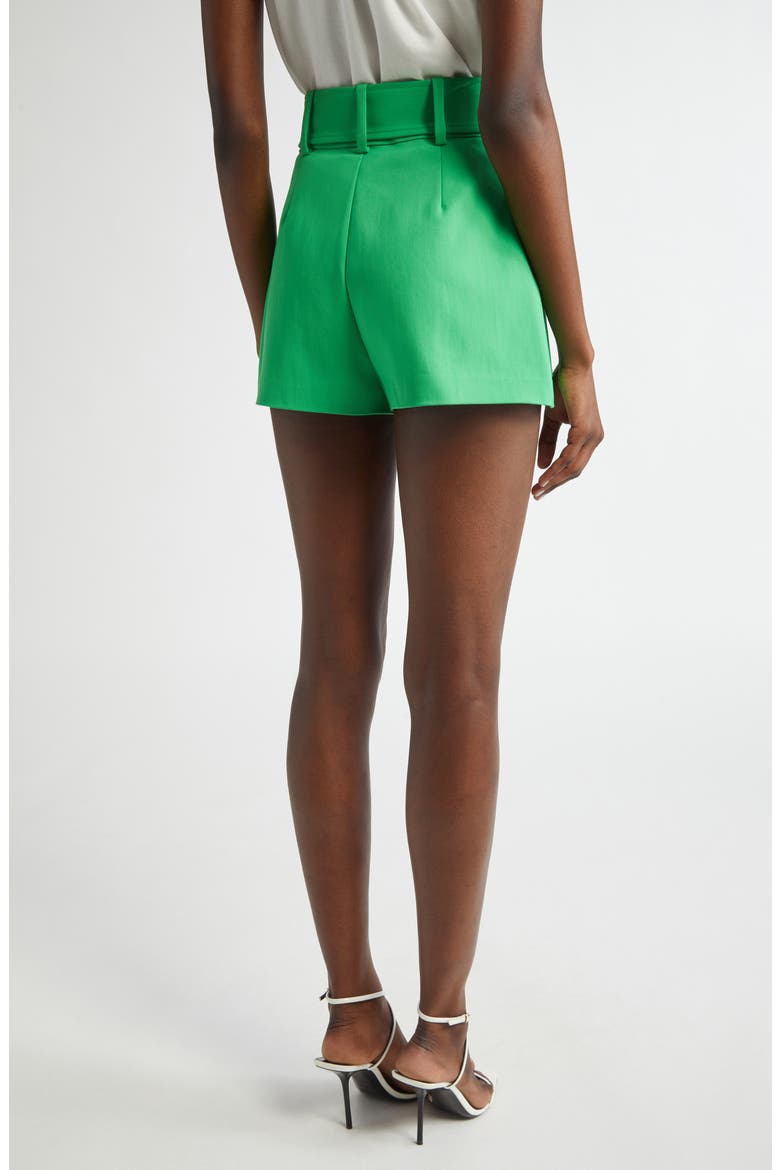 Kasey Belted Shorts, Alternate, color, TROPIC GREEN