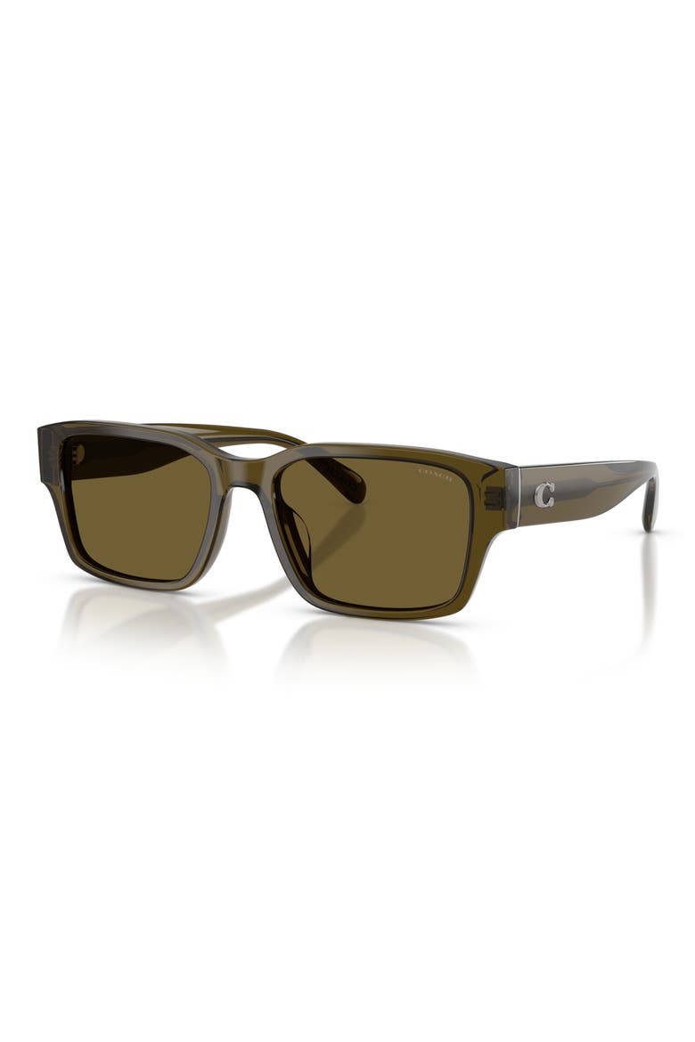 55mm Rectangular Sunglasses, Alternate, color, TRANSPARENT OLIVE / GREEN