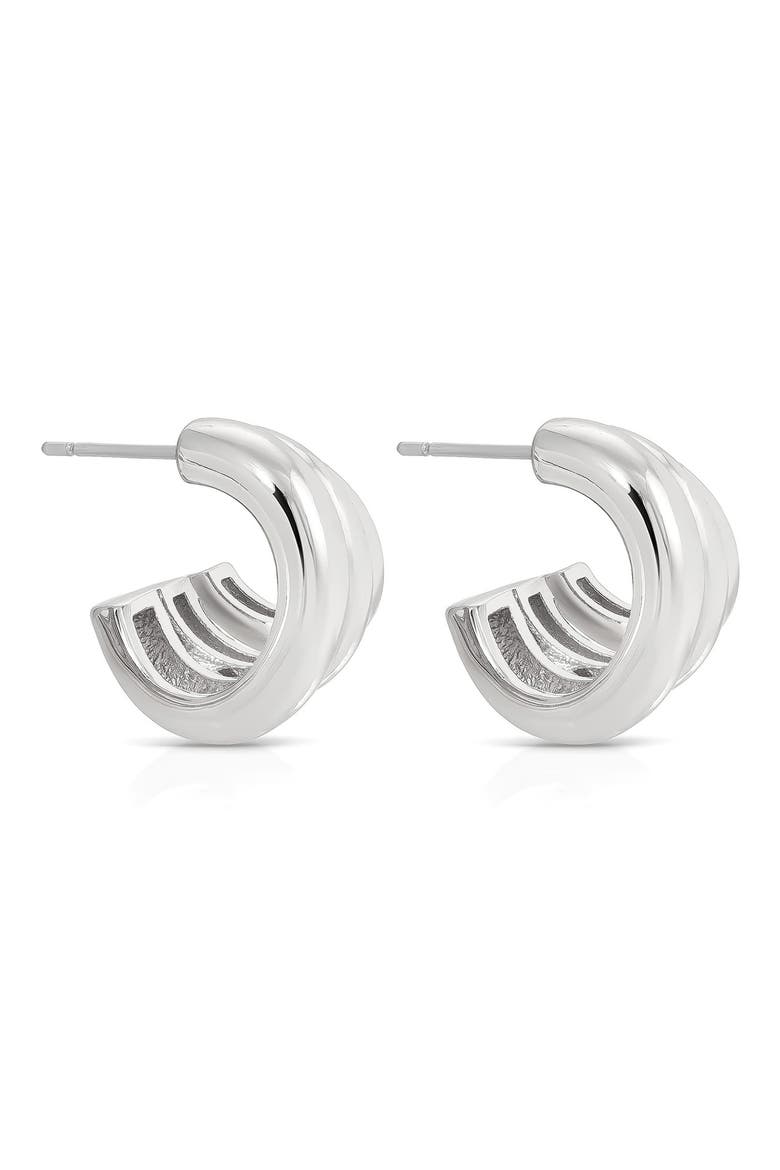 Rooted Vines Small Hoop Earrings, Alternate, color, SILVER