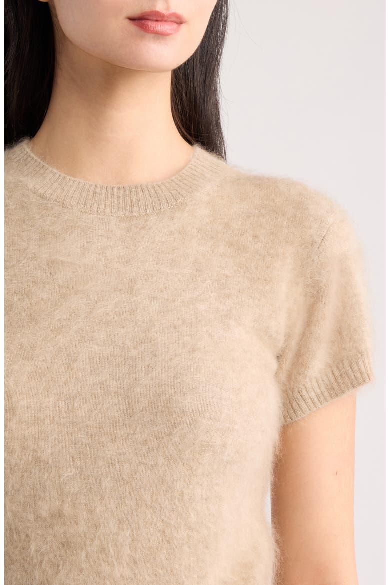 Darcy Brushed Cashmere Short Sleeve Sweater, Alternate, color, BRUSHED OATMEAL