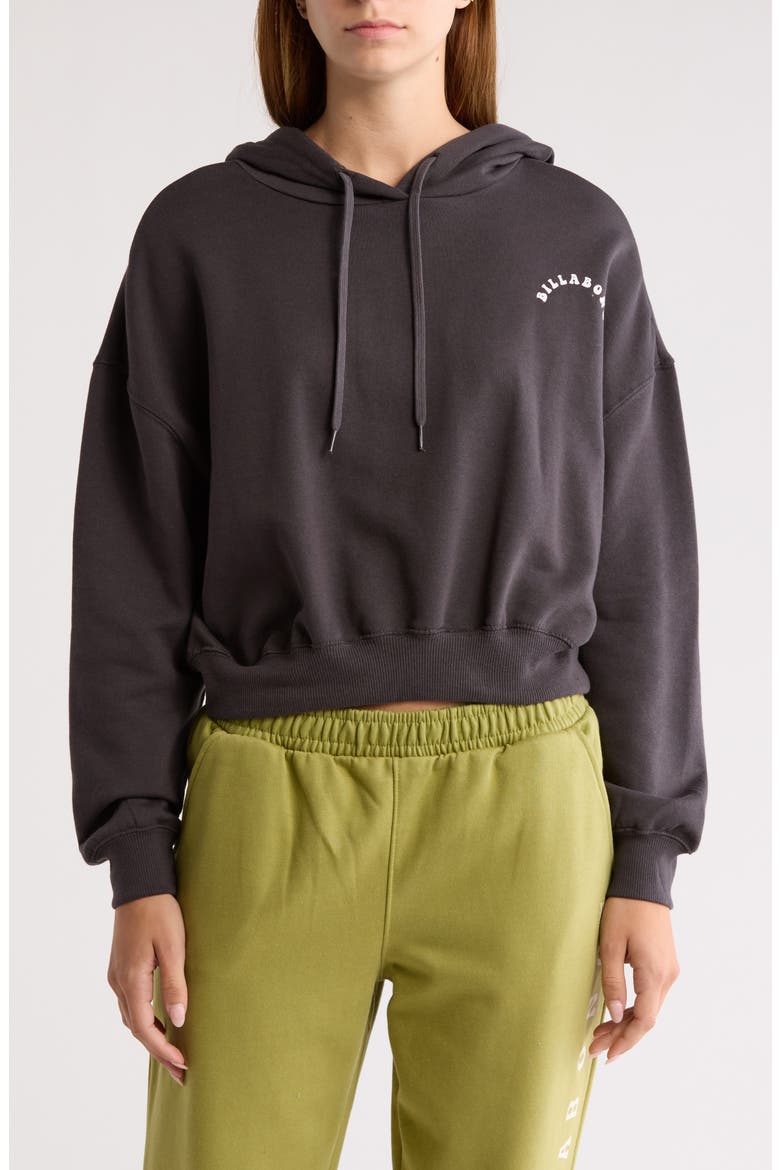 Lazy Daze Crop Hoodie, Main, color, BLACK SAND