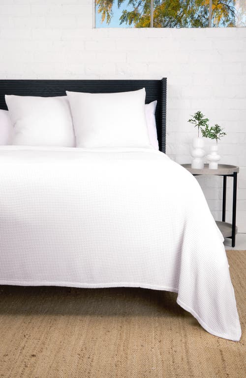Pom Pom At Home Balboa Blanket In White